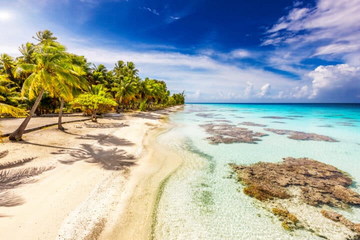 A tropical beach with white sand, clear turquoise water, coral formations, and palm trees under a partly cloudy blue sky - the perfect travel destination in French Polynesia.