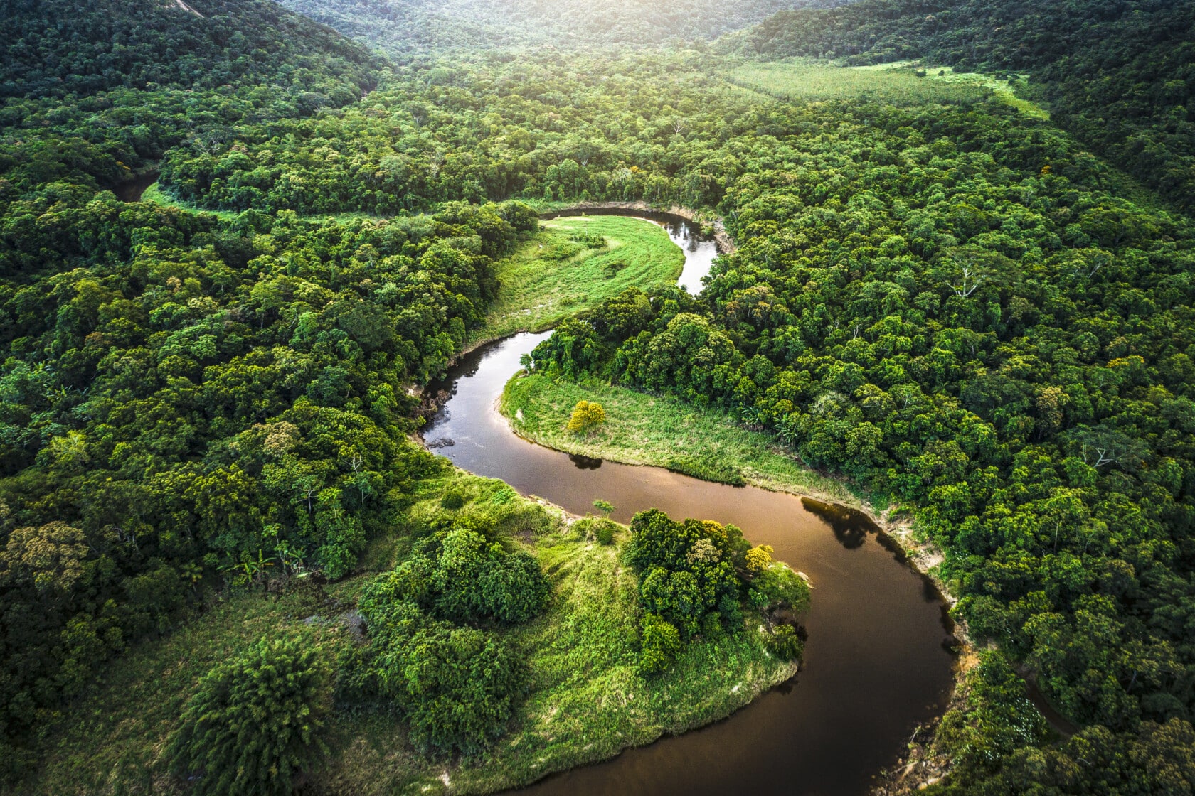 Aerial view of the lush green Amazon rainforest with a winding river cutting through the landscape under a clear sky.