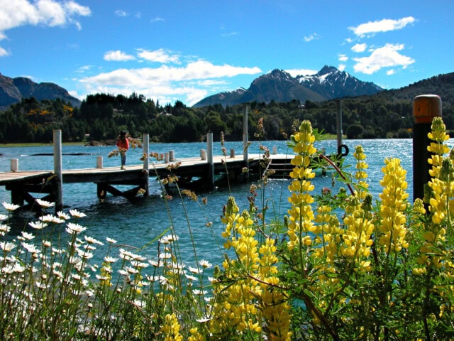 A wooden dock extends into a blue lake surrounded by Argentina's majestic mountains. Yellow and white flowers bloom in the foreground under a clear blue sky, creating a picturesque scene.