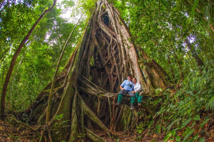 Two people sit together on the roots of a large, towering tree in the middle of a dense forest. The tree's extensive roots and branches create a natural structure around them—a serene moment for travelers exploring Malaysia's lush landscapes.