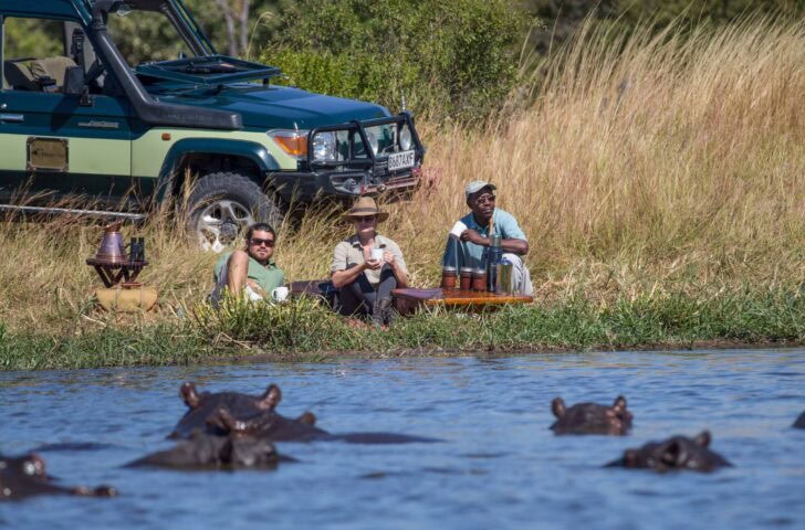 Three travelers sit by a riverbank near a green safari vehicle, guided as they observe several hippos in the water. The scene is set in a grassy area with trees in the background, capturing the spirit of adventure.