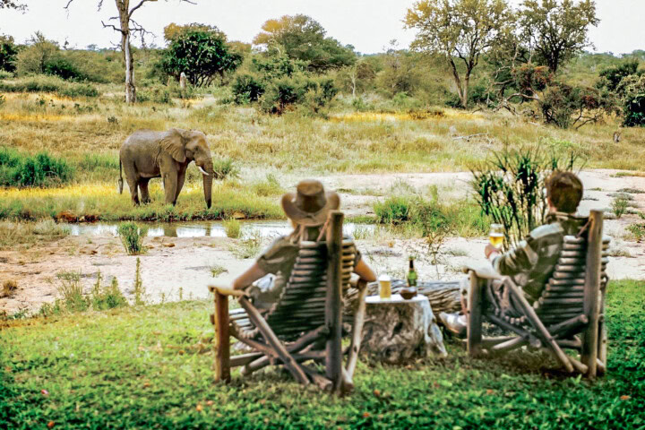 Two people sit in wooden chairs on a grassy area, guided by their expert adventure tour leader, facing an elephant standing near water in a safari wilderness.