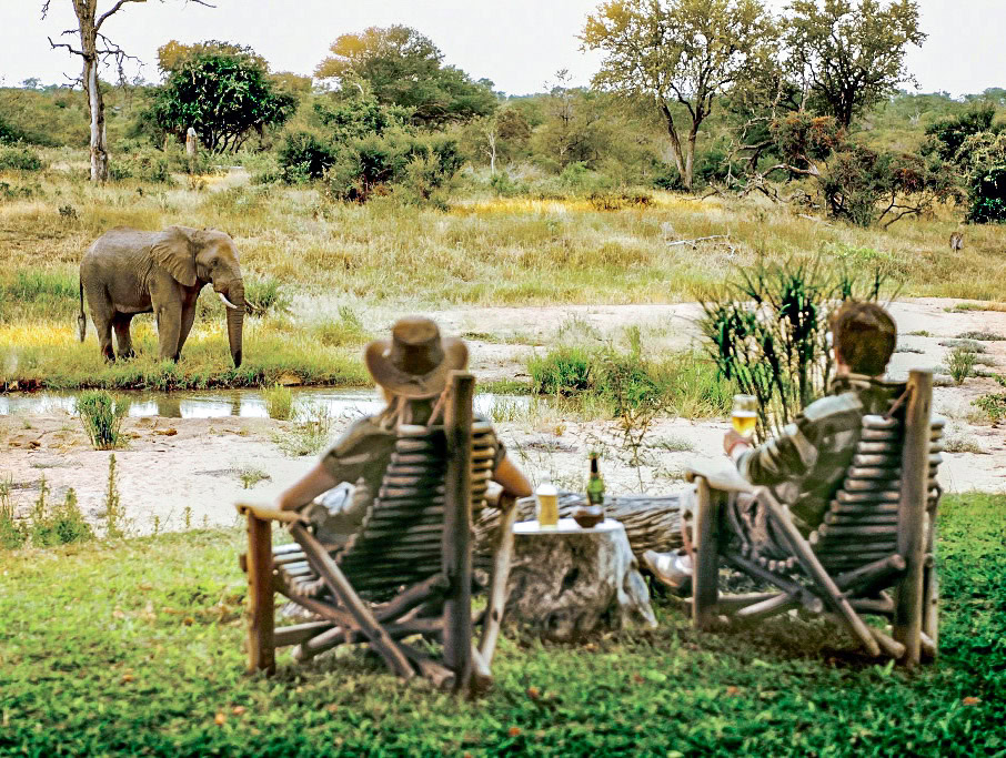 Two travelers observing an elephant.