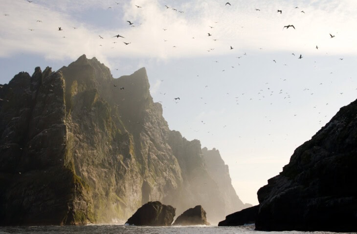 Seabirds fly over the rugged, towering cliffs of Scotland with rocky outcrops at the water's edge, under a cloudy sky.