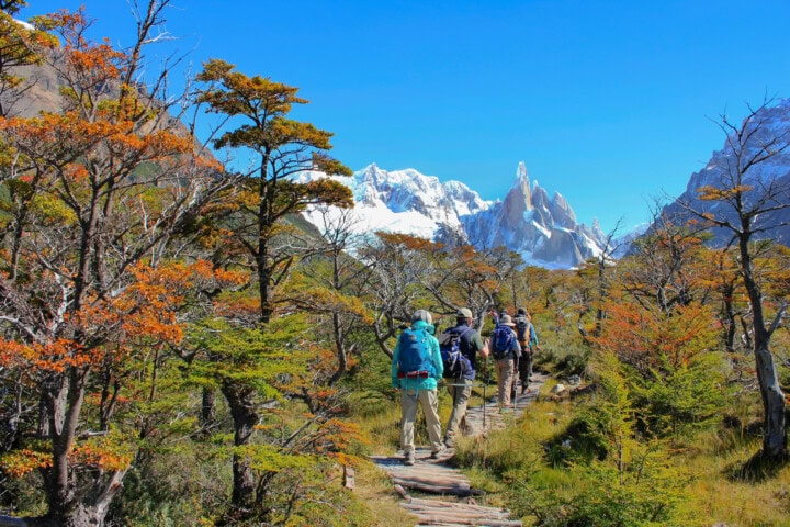 A group of hikers walks along a wooden path surrounded by trees with autumn foliage in Argentina, with mountain peaks in the background under a clear blue sky.