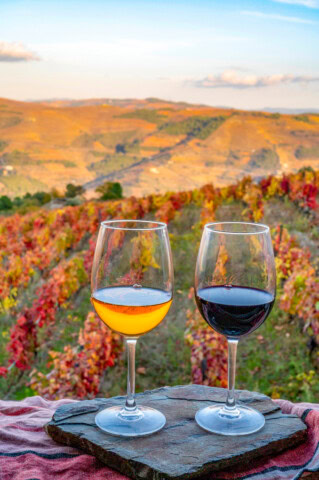 Two glasses of wine, one white and one red, on a stone slab with a picturesque Portuguese vineyard and rolling hills in the background under a sunny sky.