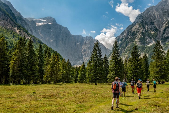 A group of hikers walks on a grassy field in Slovenia towards a mountainous landscape with pine trees under a clear blue sky.