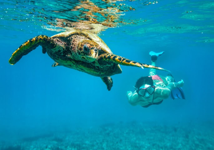 A snorkeler swims underwater alongside a sea turtle in the clear blue waters of Palau, an island nation known for its remarkable marine life and as a prime travel destination.