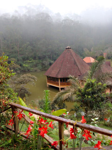 A wooden structure with a thatched roof stands over a pond surrounded by lush greenery and red flowers in the misty forest of The Eighth Continent.