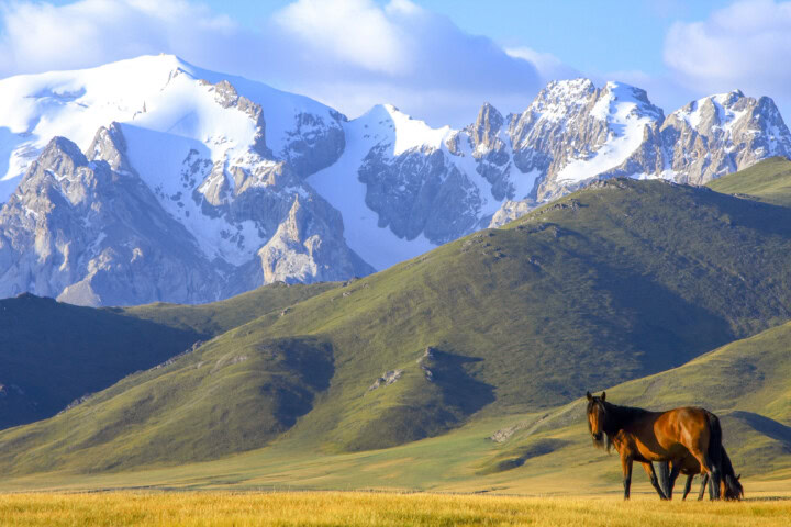 Two horses graze on a grassy plain in Kyrgyzstan, with green-hued hills and snow-capped mountain peaks in the background under a blue sky with scattered clouds.