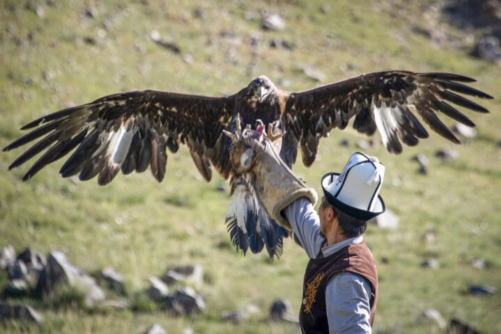 A person wearing a traditional hat and brown attire raises a gloved arm to let a large eagle with outstretched wings land on it. The background, a grassy landscape in Kyrgyzstan, invites you to explore its rich culture and breathtaking vistas—a perfect destination for travel and tourism.