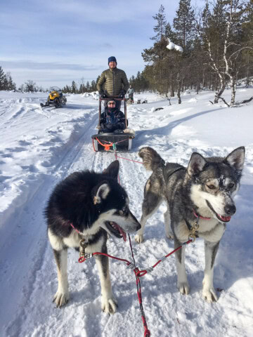 Two people ride on a dog sled in a snowy landscape in Finland, pulled by two sled dogs. A snowmobile is visible in the background. Trees are scattered around the snowy terrain.