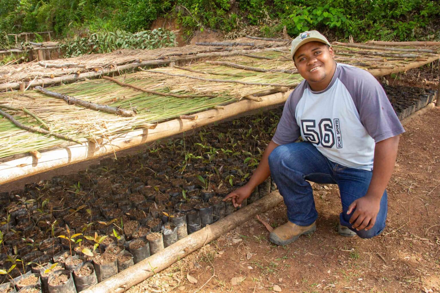 Environmentalist with hiaroke tree seedlings ready for planting in Andasibe National Park.