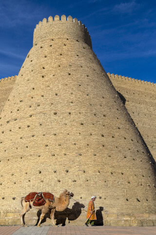 A person walks beside a camel near a large, conical, brick structure in Uzbekistan under a clear blue sky. The camel is saddled with an ornate blanket.