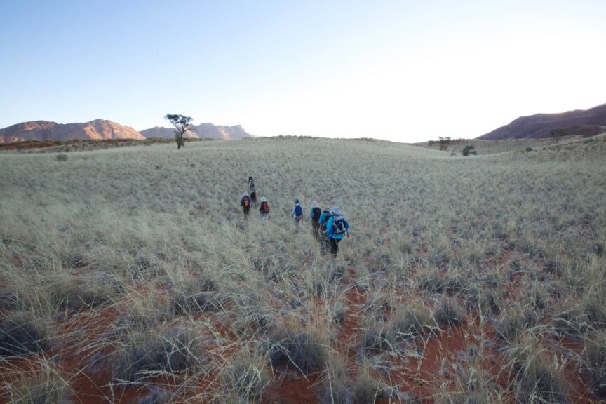 A group of hikers embarks on an adventure through a grassy, arid landscape in Namibia, with distant mountains under an early morning sky.