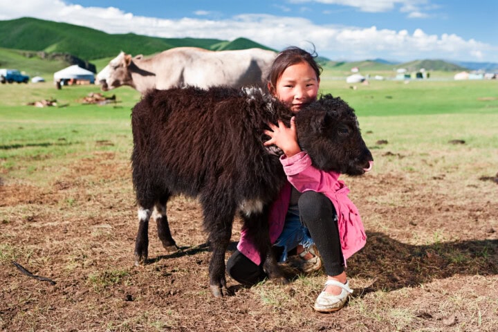 A girl in a pink jacket kneels on the grass, hugging a young black yak. Another yak and open landscape with yurts and hills exemplify the beauty of Mongolia, making it an unforgettable travel destination.