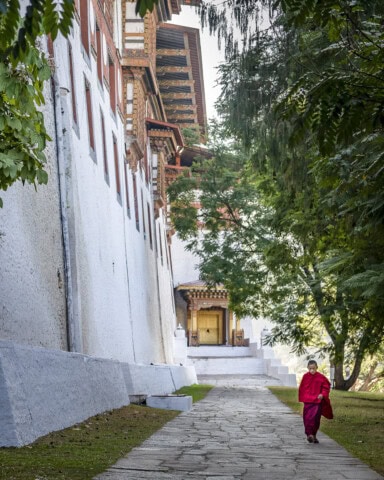 A person in a red robe walks along a path beside a tall traditional building with intricate woodwork, surrounded by trees, showcasing the serene travel destination of Bhutan.