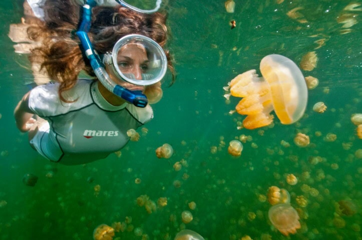 A snorkeler wearing a mask and snorkel swims underwater in a greenish environment surrounded by multiple golden jellyfish, experiencing the unique marine life of Palau, one of the top Pacific island travel destinations.