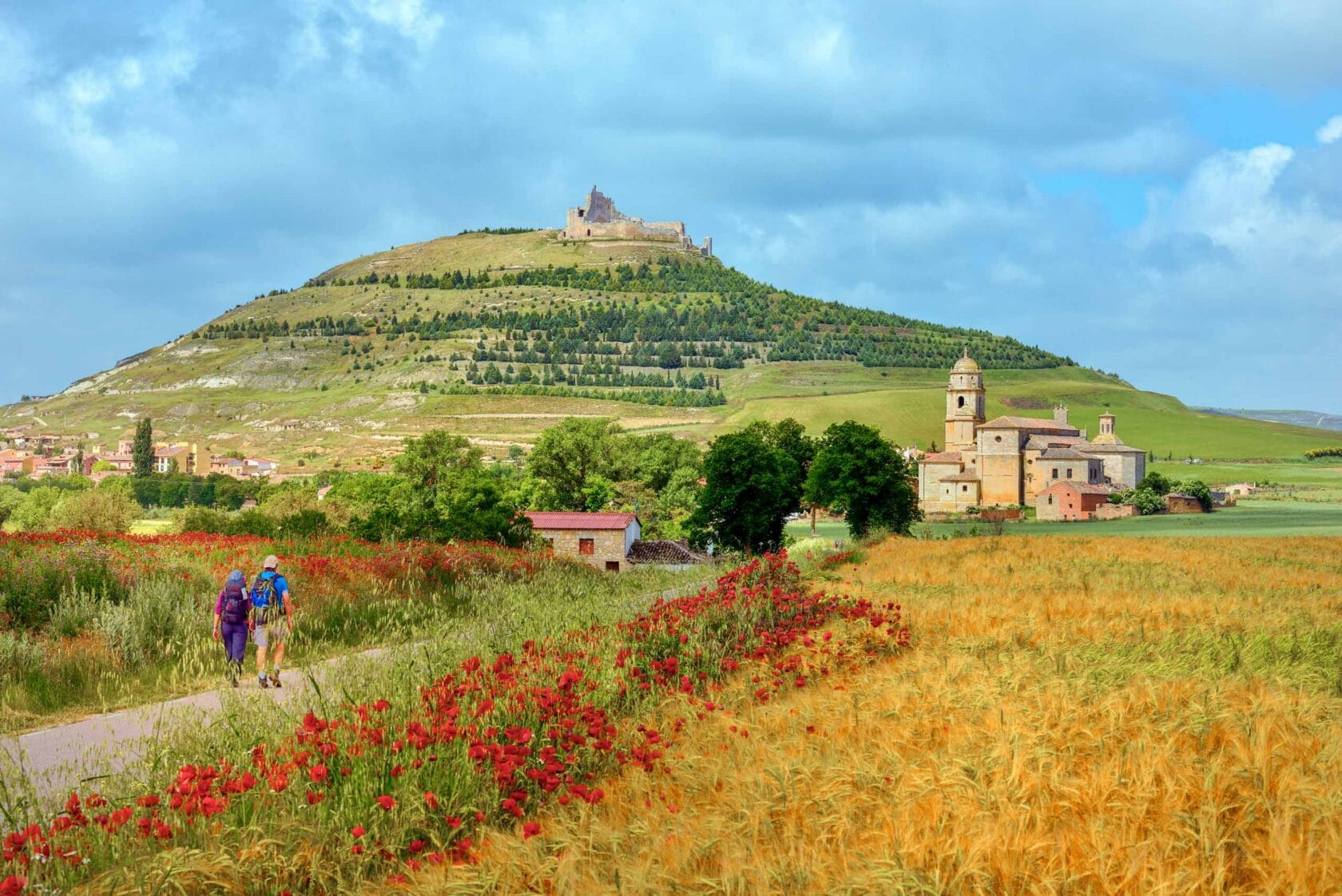 A field of wildflowers with a castle in the background.