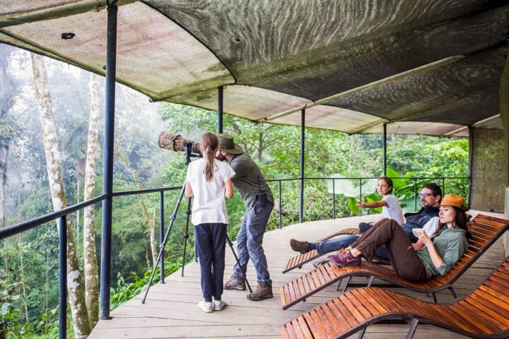 People enjoying a forest view from a covered deck in Ecuador; two individuals use a camera on a tripod while others relax on wooden lounge chairs.