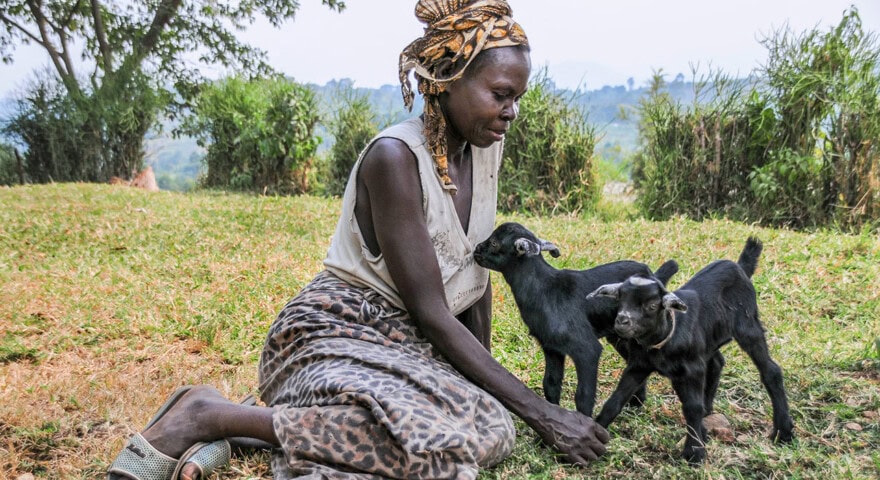 A woman wearing a headscarf and patterned skirt sits on the grass in Uganda, interacting with two black baby goats in an outdoor setting.