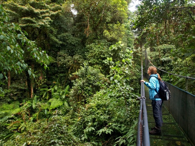 A person wearing a blue jacket and backpack stands on a metal suspension bridge in Costa Rica, looking out over the lush, dense rainforest vegetation.