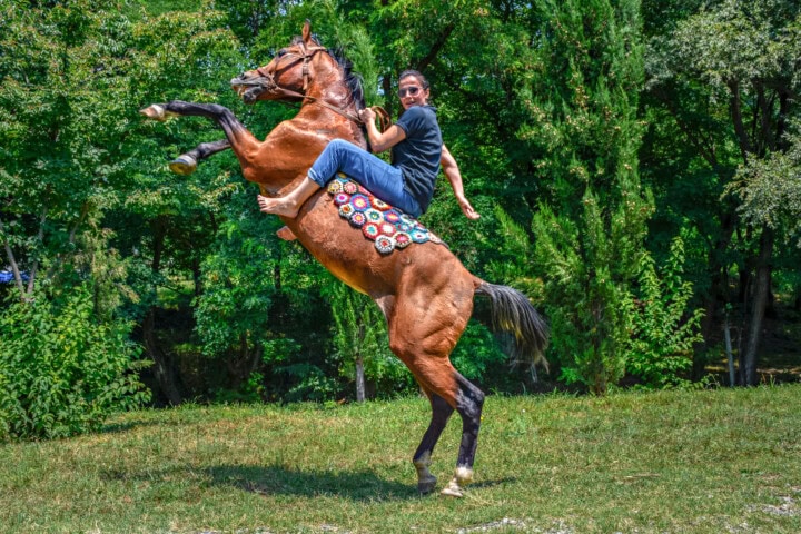 A person sits astride a rearing horse in an outdoor setting, surrounded by the lush greenery and trees of Georgia. The horse boasts a patterned saddle blanket.