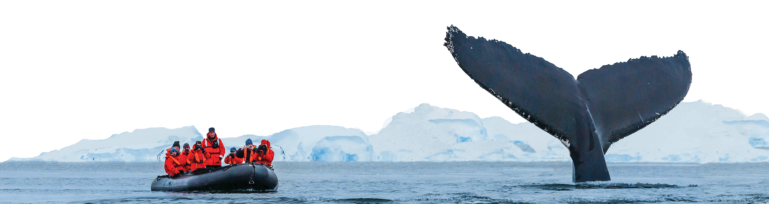 A group of people in red jackets observe a whale's tail emerging from the water while seated in a black inflatable boat, showcasing one of nature's incredible destinations. Snowy mountains are visible in the background.
